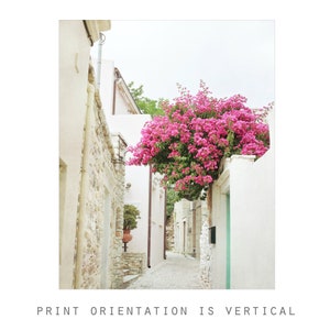 Greece Photography, Bougainvillea Flowers, Architecture, Europe Street, Travel Photography, 8x10 16x20, Greece Wall Art immagine 3