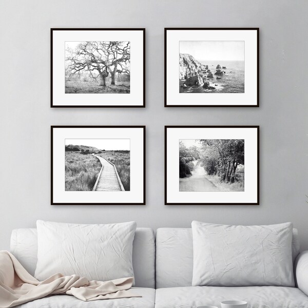 Rustic Landscape Prints, Black and White Photography, Set of 4 Prints, Trees, Ocean, Black and White Wall Art, 8x10 11x14 Prints