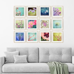 Flower Print Set Botanical Prints, Flower Photography, Set of 12 Prints, Colorful Floral Photography Prints, 5x5 8x8, Gallery Wall Set