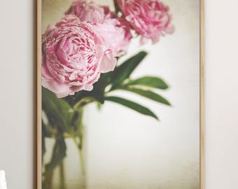 Peony Flower Art - Still Life Photography, Pink Floral Botanical Wall Art, 8x10 11x14 16x20 Print