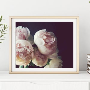 Peony Photograph, Flower Still Life Print, Peony Wall Art, Dark Floral Wall Art, Botanical Print image 2