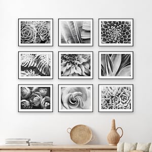 Conjunto de nueve impresiones de flores y hojas, fotografía de naturaleza en blanco y negro, arte botánico, impresiones para pared de galería de 5x7 y 8x10 - Ahorre un 50 %