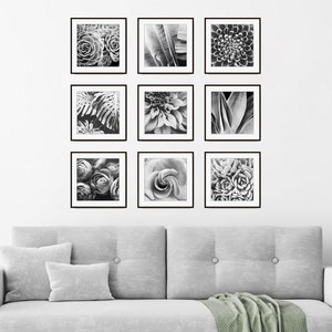 Conjunto de impresión botánica, fotografía en blanco y negro, hojas de flores, conjunto de 9 impresiones, fotografía de naturaleza, conjunto de pared de galería, impresiones 5x5 8x8 imagen 1