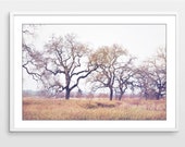 Oak Trees Print, Rustic A...
