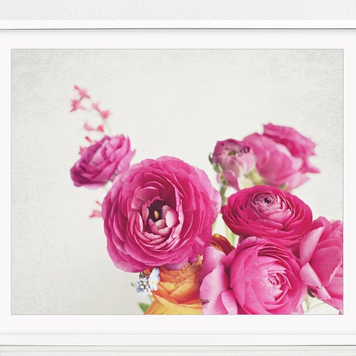 Peony Photography Flower Still Life Pink Wall Art Peony - Etsy