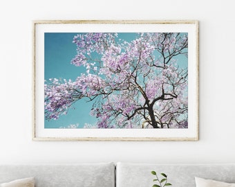 Jacaranda Tree Print - Nature Photography, Purple Blue Wall Art, Floral, Tree Photograph, Flowering Tree Print, 8x12 24x36 Print