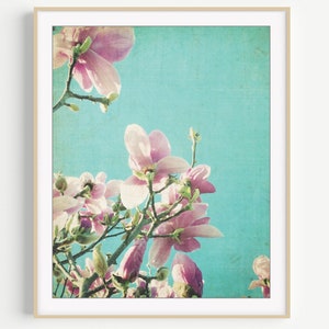 Magnolia Flowers Photography Print / Turquoise Pink Botanical Wall Art