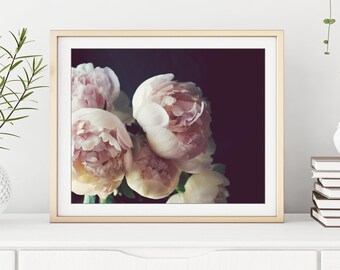 Peony Wall Art - Flower Still Life Photography Floral Pale Pink Botanical Print