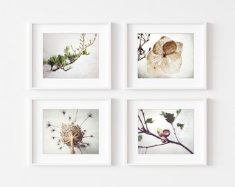 Rustic Botanical Print Set Naturalist Art Set of 4 Prints, Farmhouse Decor, Nature Print Set, Neutral Wall Art Decor, 5x7 8x10 Prints