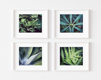 Set of 4 Prints, Green Leaves, Nature Photography, Botanical Print Set, Green Wall Art, Gallery Wall Set, Plants, 8x10 16x20 Prints