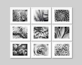 SALE Botanical Print Set Black and White Photography, Flowers Leaves, Set of 9 Prints. Nature Photography Gallery Wall 5x7 8x10 Prints