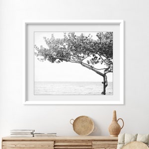 Tree Wall Art, Hawaii, Black and White Photography, Ocean, Nature Photography, Tree Photograph, 8x10 11x14 Print