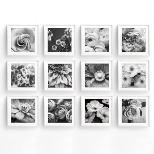 Flower Photography Set of 12 Prints Black and White Photography, Botanical Prints, Floral Wall Art, Gallery Wall Set, 5x5 8x8 Prints imagem 2