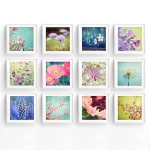 Flower Print Set Botanical Prints, Flower Photography, Set of 12 Prints, Colorful Floral Photography Prints, 5x5 8x8, Gallery Wall Set