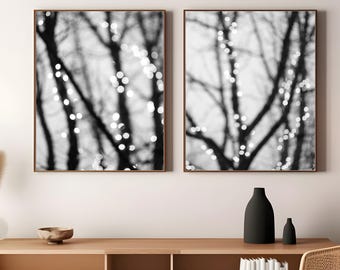 Tree Art Prints - Black and White Photography - Set of Two Prints Sparkle Lights Photography, Gallery Wall Art