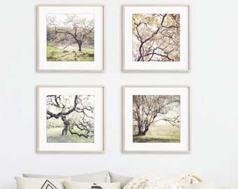 Oak Tree Prints Landscape Photography Set of 4 Prints, Rustic Living Room Decor, Nature Photography, Gallery Wall, 5x5 8x8 Prints