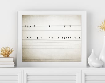 Birds On Wires, Minimal Photography Print, Black and White Photography, Sepia, Modern Abstract Wall Art, 5x7 8x10 11x14 Print