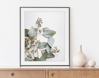 Eucalyptus Print Nature Photography Print, Sage Green White Wall Art, Botanical Still Life Art Print, Minimal Modern Rustic Decor