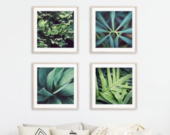 Green Leaves Botanical Prints, Set of 4 Prints, Nature Photography, Green Wall Art, Nature Prints, 5x5 8x8 Prints, Home and Office Wall Art