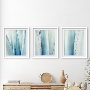 Pale Blue Wall Art, Set of 3 Prints, Agave Leaf Prints, Nature Photography, Botanical Prints, Abstract Nature Wall Art