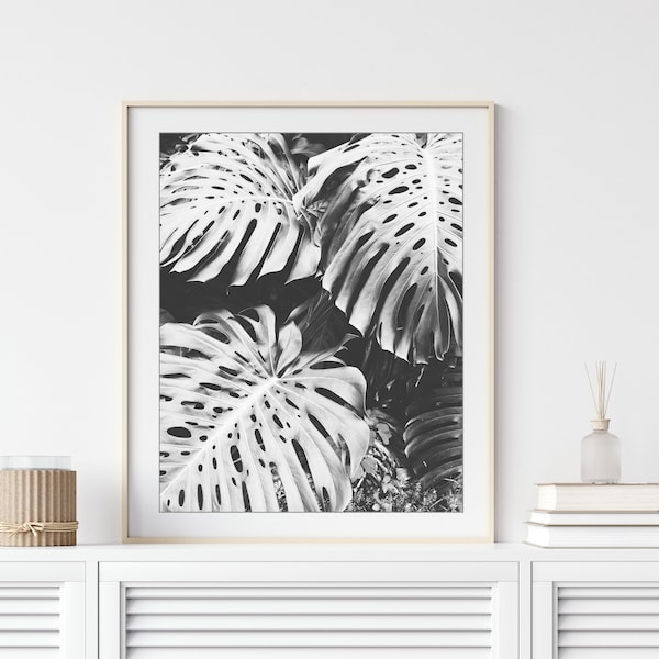 Monstera Leaves Print - Black and White Photography, Botanical Wall Art, Large Wall Art, Leaves Print, Bedroom Wall Art, 8x10 16x20 Print