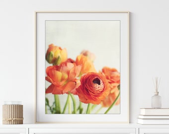 Still Life Photography Ranunculus Flowers Print Floral Wall Art