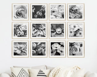 Conjunto de fotografía de flores de 12 impresiones Fotografía en blanco y negro, Impresiones botánicas, Arte de pared floral, Conjunto de pared de galería, Impresiones 5x5 8x8