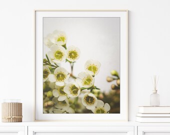 Flower Photography - White Yellow Floral Wall Art, Botanical Print, Bedroom Decor, Flower Art Print, 5x7 8x10, Nature Wall Art