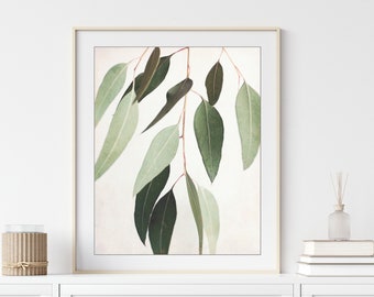 Eucalyptus Print - Botanical Wall Art, Sage Green Wall Art, Nature Photography, 8x10 11x14, Modern Rustic Living Room Decor