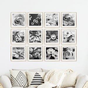 Flower Photography Set of 12 Prints Black and White Photography, Botanical Prints, Floral Wall Art, Gallery Wall Set, 5x5 8x8 Prints imagem 1