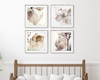 Hydrangea Flowers Nature Photography Prints, Rustic Neutral Art For Living Room, Set of 4 Prints, Nature Gallery Wall Set, 5x5 8x8 Prints