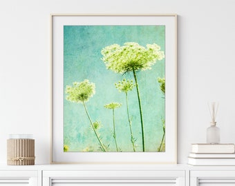 Flower Photography - Queen Anne's Lace Print, Floral Aqua Blue Green Wall Art, Nature Photography, 8x10 11x14, Wildflower Botanical Wall Art