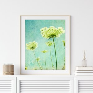 Flower Photography Queen Anne's Lace Print, Floral Aqua Blue Green Wall Art, Nature Photography, 8x10 11x14, Wildflower Botanical Wall Art image 1