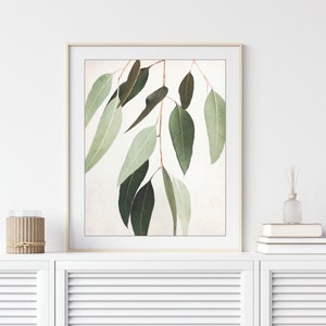 Eucalyptus Leaves, Botanical Print, Sage Green Wall Art, Nature Photography, Modern Rustic Decor, Large Wall Art // Eucalyptus Sprig Three