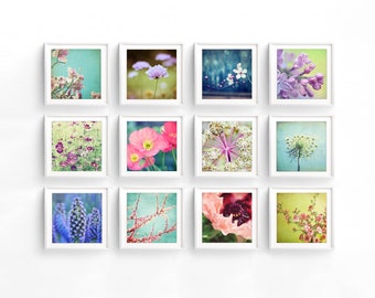 Flower Print Set, Botanical Wall Art, Flower Photography, Set of 12 Prints, Colorful Floral Wall Art, 5x5 8x8 Prints Floral Gallery Wall Set