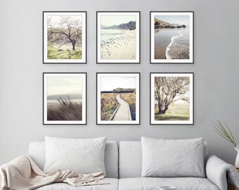 Rustic Landscapes Farmhouse Decor Nature Photography Prints • Set of 6 Prints • Neutral Wall Art • Vertical Prints • 8x10 11x14 Prints