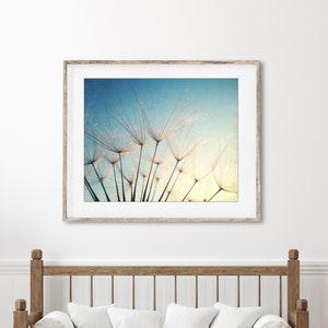 Blue Nature Photography Dandelion Print, Botanical Photography, Blue Gold Beige Wall Art, , Bedroom Wall Art, Fine Art Photography Print image 2