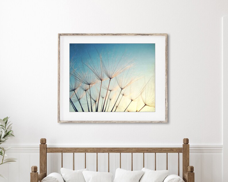 Blue Nature Photography Dandelion Print, Botanical Photography, Blue Gold Beige Wall Art, , Bedroom Wall Art, Fine Art Photography Print image 2