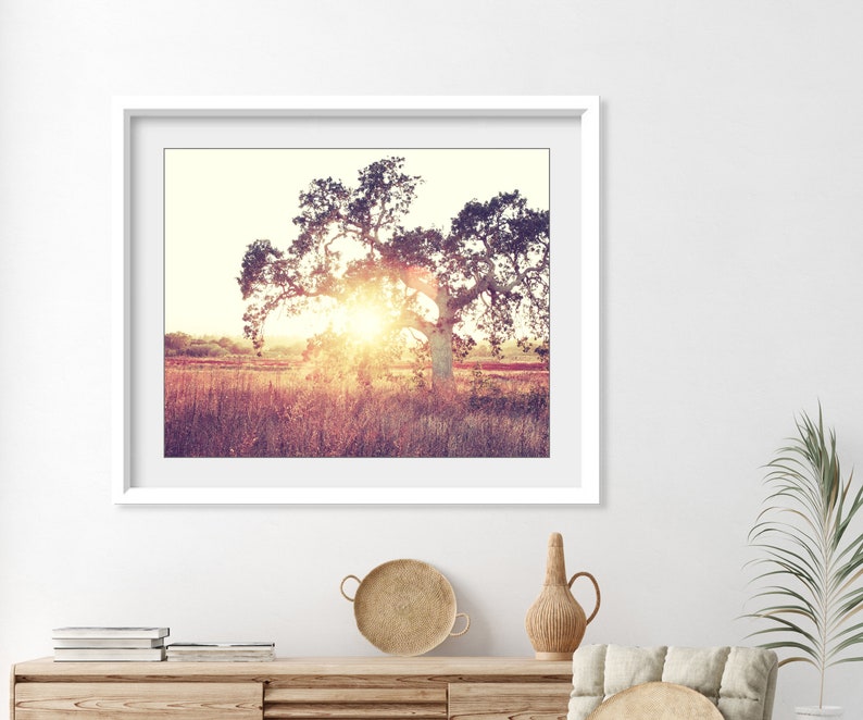 Landscape Photography California Oak Tree Wall Art Autumn - Etsy