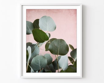 Eucalyptus Leaves Print - Botanical Photography, Pale Pink, Nature Print, Sage Green Leaves, 8x10 11x14 16x20, Photography Print