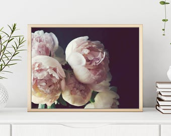 Peony Wall Art - Flower Still Life Photography, Floral Wall Art, Bedroom Decor, Pale Pink Botanical Print