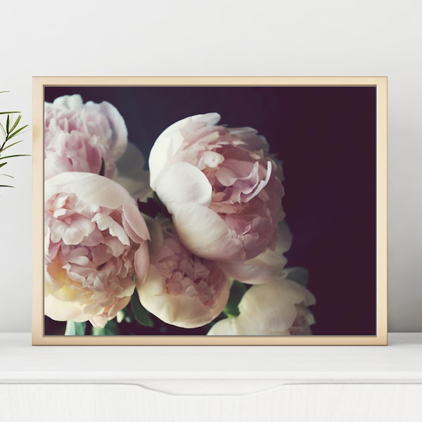 Peony Wall Art - Flower Still Life Photography, Floral Wall Art, Bedroom Decor, Pale Pink Botanical Print