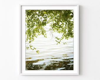 Lake Photograph, Tree Print, Nature Photography, Water Photograph, Olive Green Wall Art, Zen Style, Living Room Art, 8x10 16x20 Print