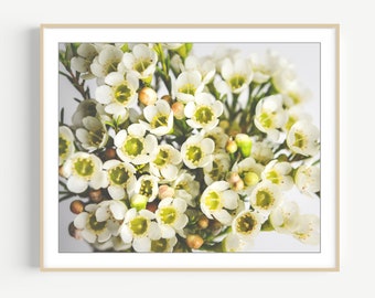 Flower Photography - Botanical Print, Floral Wall Art, Bedroom Wall Art, Yellow White, Nature Photography, 8x10 24x36 Print