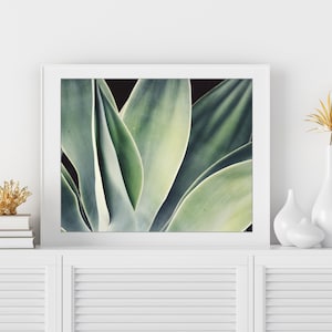 Agave Print, Nature Photography, Sage Green Wall Art, Botanical Print, Desert Southwest Decor, Succulent Wall Art, 8x10 16x20 Print image 2