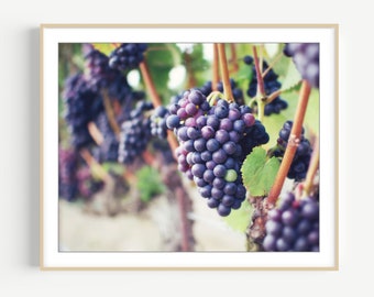 Wines Grapes Print - Food Photography, Kitchen Wall Art, Fruit Photograph, Wine, Vineyard, Farmhouse Kitchen Wall Art, Dining Room Art