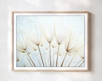 Dandelion Print - Nature Photography, Pale Blue Botanical Art, Nature Print, Dandelion Wall Art, Ethereal Nature Wall Art, 8x10 11x14 Print