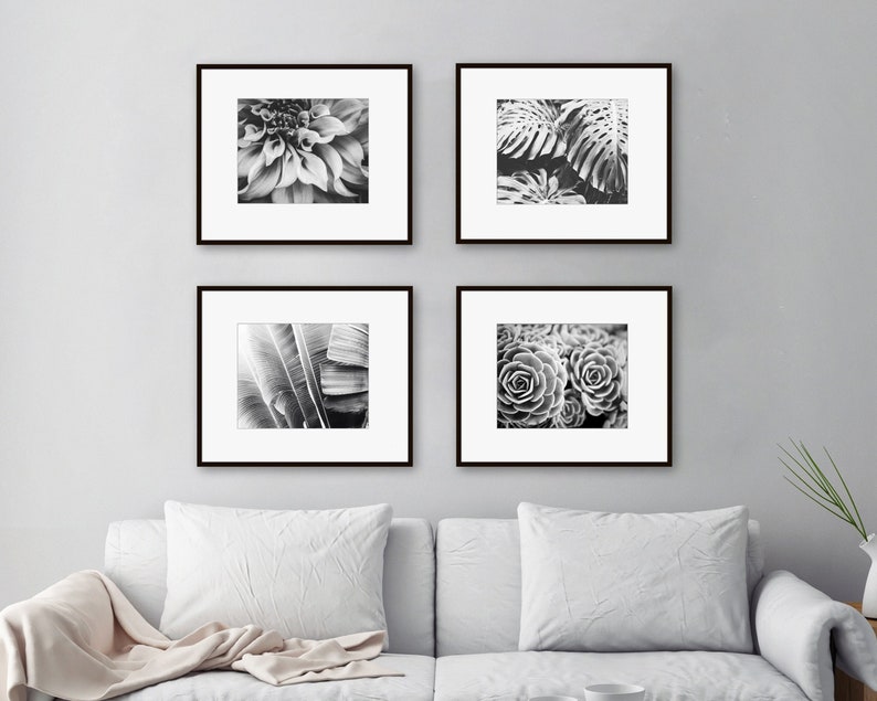 Set of Four Prints Botanical Print Set Black and White Photography, 8x10 11x14 Print Set, Nature Photography Print Set Wall Art image 1