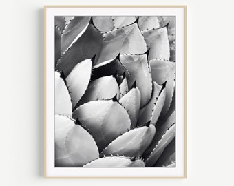 Agave Leaves - Black and White Photography Print, Botanical, Nature Photography, Southwest Style Decor