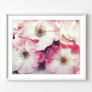 Old Fashioned Roses Print - Flower Photography, Botanical Print, Floral Wall Art, Pink Flowers Print, Bedroom Wall Art Decor